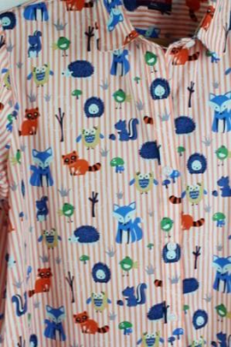 Camisa rayas estampada