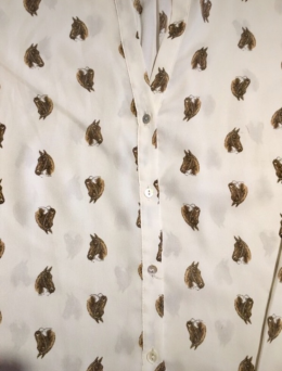 Camisa Estampada Zara