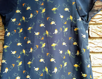 Blusa pájaros Lefties